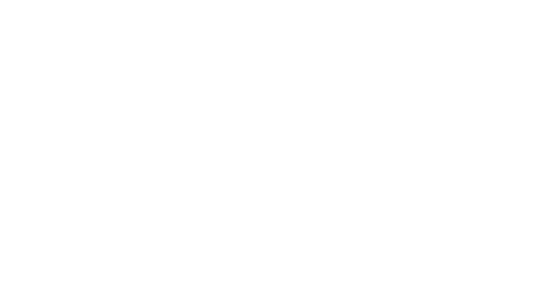 Ting Meister