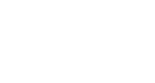 Ting Meister