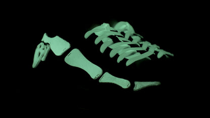 Custom AJ1 Low GITD "Bare Bones"